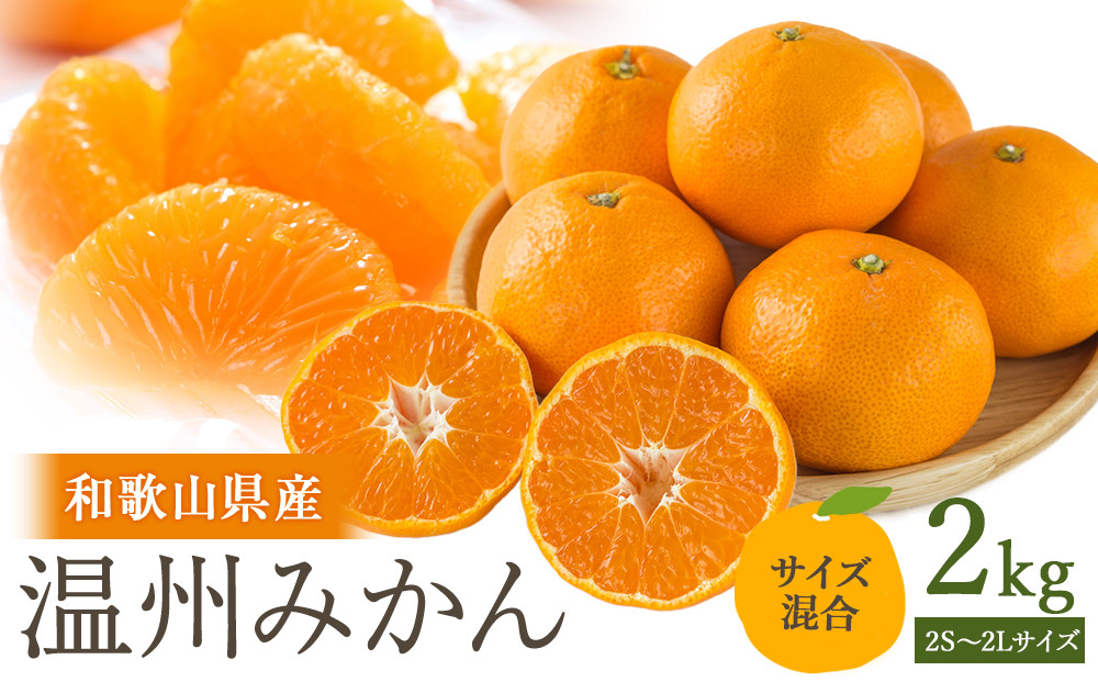 ［先行予約］訳あり&nbsp;温州みかん&nbsp;約2kg&nbsp;2S～2Lサイズ混合［2025年11月上旬頃から順次発送予定］