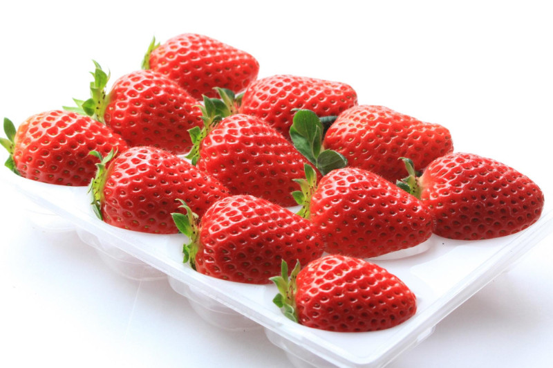 ［先行予約］いちご（まりひめ）　1パック(11粒入り）×4パック　ゆりかーご包装&nbsp;&nbsp;［2026年3月中旬から4月中旬にお届け予定］tagfam004