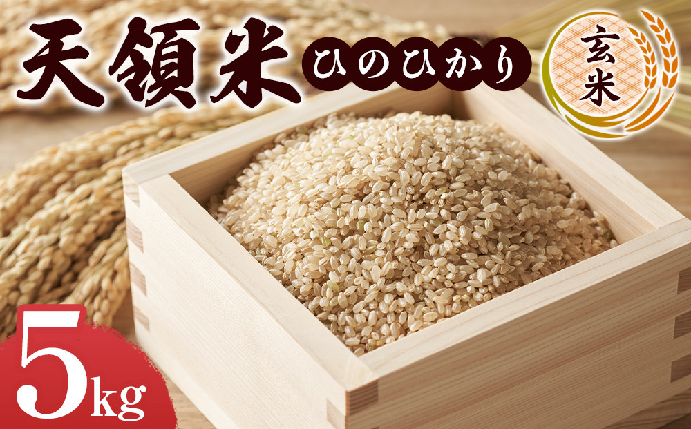 天領米（ひのひかり：玄米）&nbsp;5kg