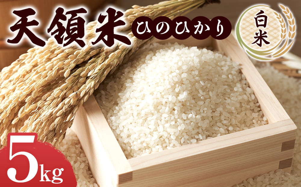 ＼年内発送／ 天領米（ひのひかり：白米） 5kg