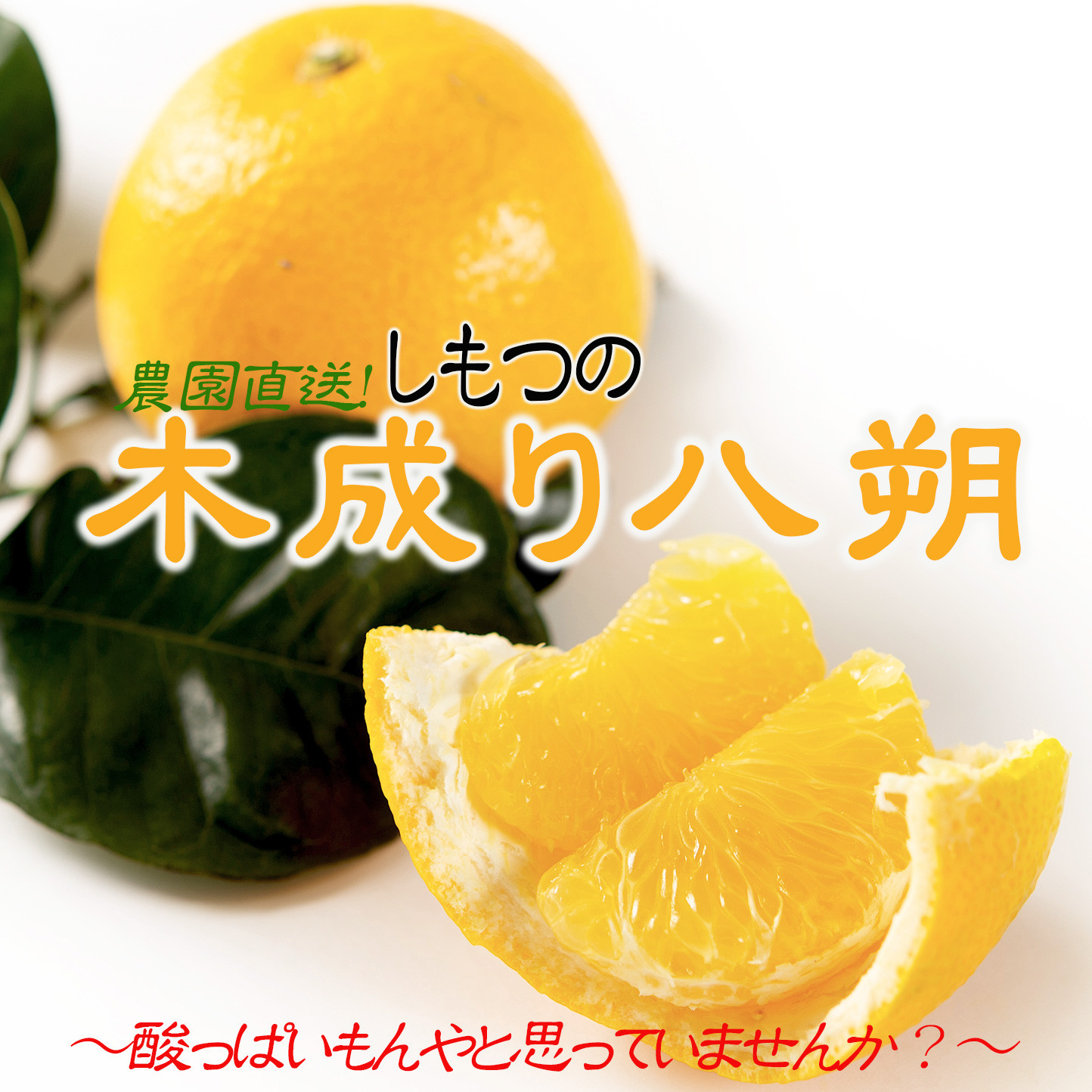 訳あり&nbsp;はっさく&nbsp;八朔&nbsp;ハッサク&nbsp;わけあり&nbsp;10kg｜海南市産&nbsp;まごころ産直みかん&nbsp;木成り&nbsp;完熟はっさく&nbsp;柑橘&nbsp;みかん&nbsp;フルーツ&nbsp;和歌山みかん&nbsp;国産&nbsp;産地直送&nbsp;甘酸っぱくて爽やか！［Mg69］