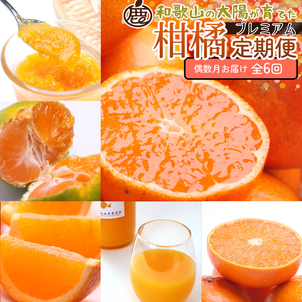 厳選&nbsp;柑橘定期便M（偶数月）全6回&nbsp;［IKE294］