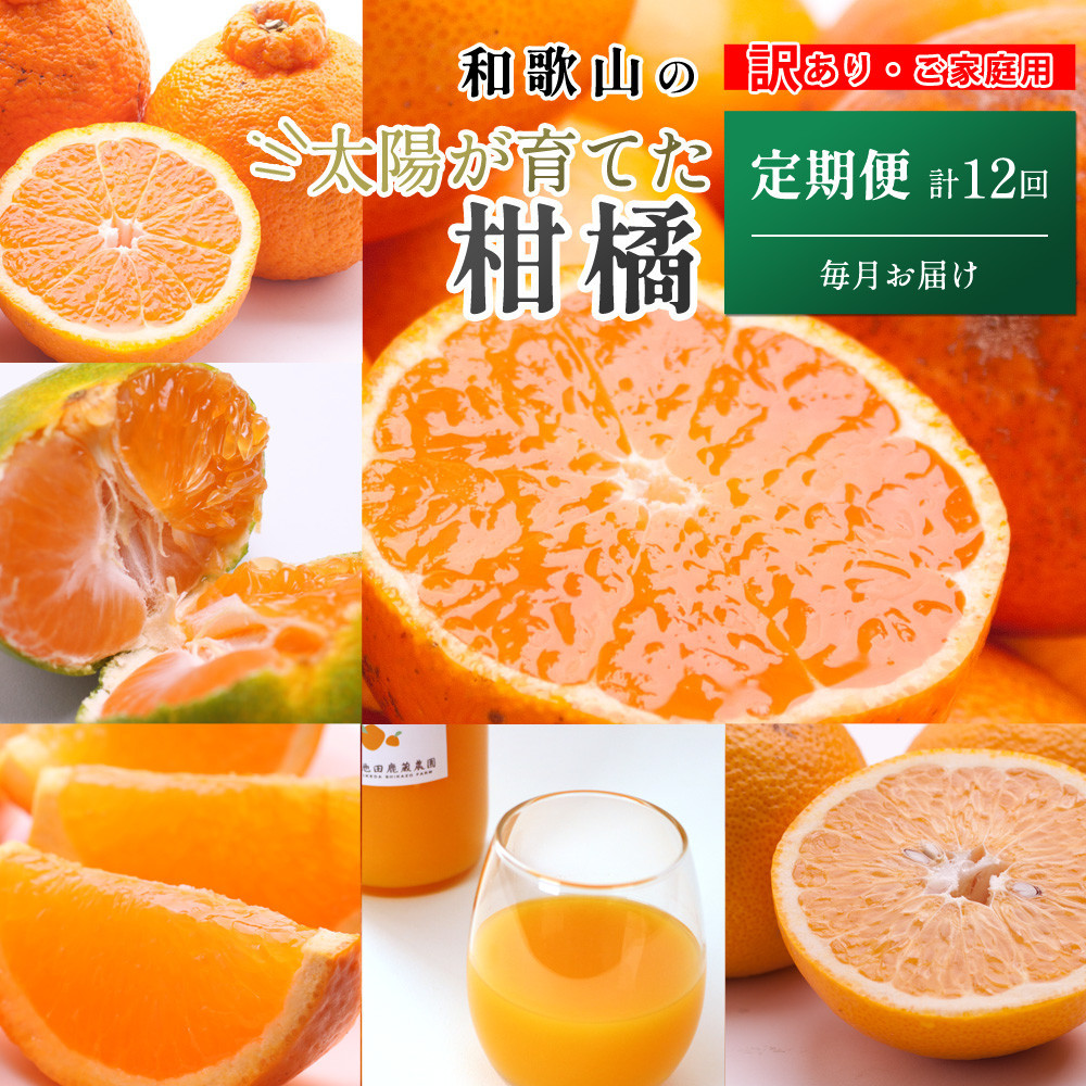 家庭用&nbsp;柑橘定期便M（毎月）全12回&nbsp;［IKE307］