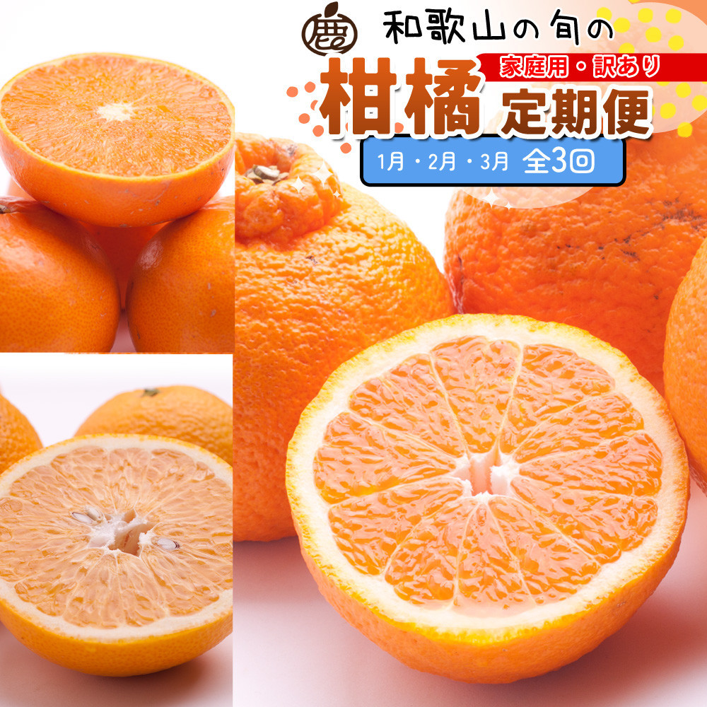 家庭用&nbsp;柑橘定期便M（1～3月）全3回&nbsp;［IKE310］