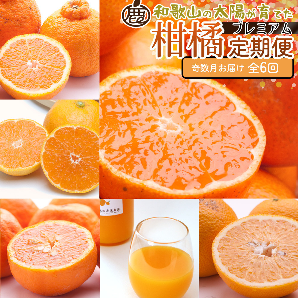 厳選&nbsp;柑橘定期便S（奇数月）全6回［IKE287］