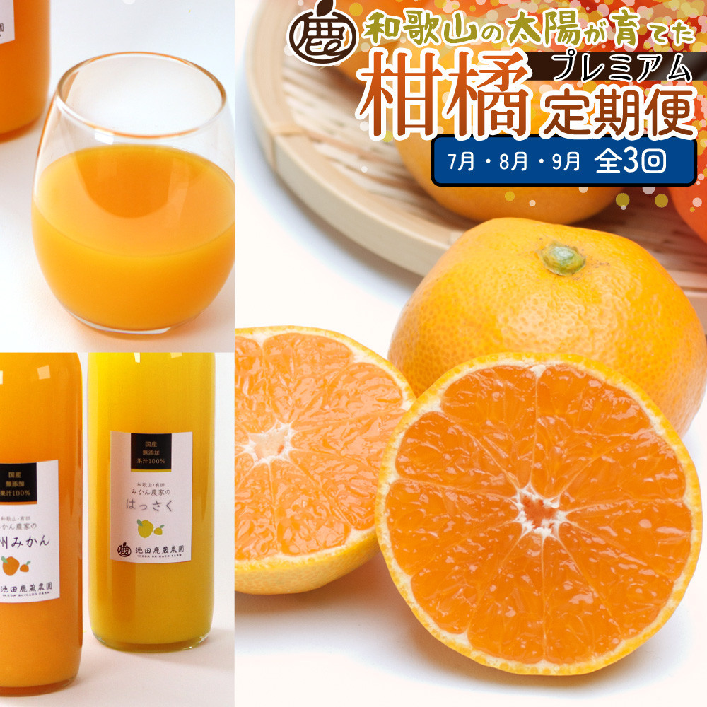 厳選&nbsp;柑橘定期便M（7～9月）全3回&nbsp;［IKE297］