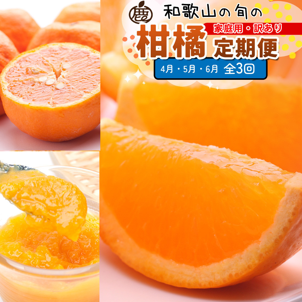家庭用 柑橘定期便M（4～6月）全3回 ［IKE311］
