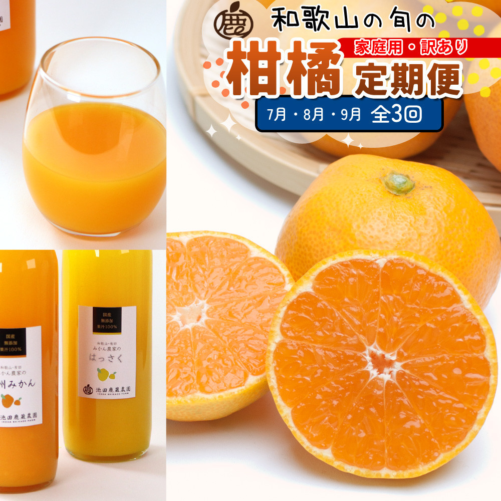 家庭用 柑橘定期便M（7～9月）全3回 ［IKE312］