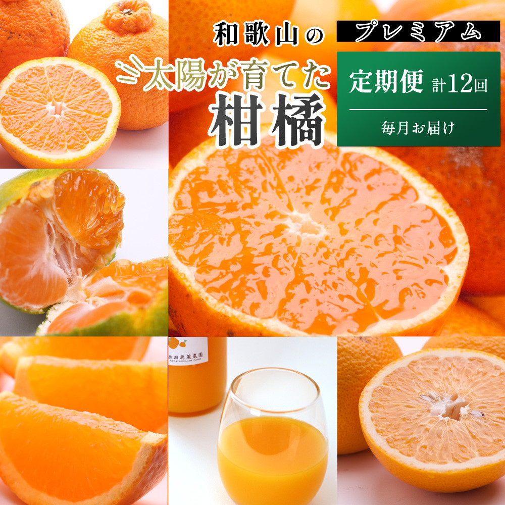 厳選&nbsp;柑橘定期便S（毎月）全12回［IKE285］