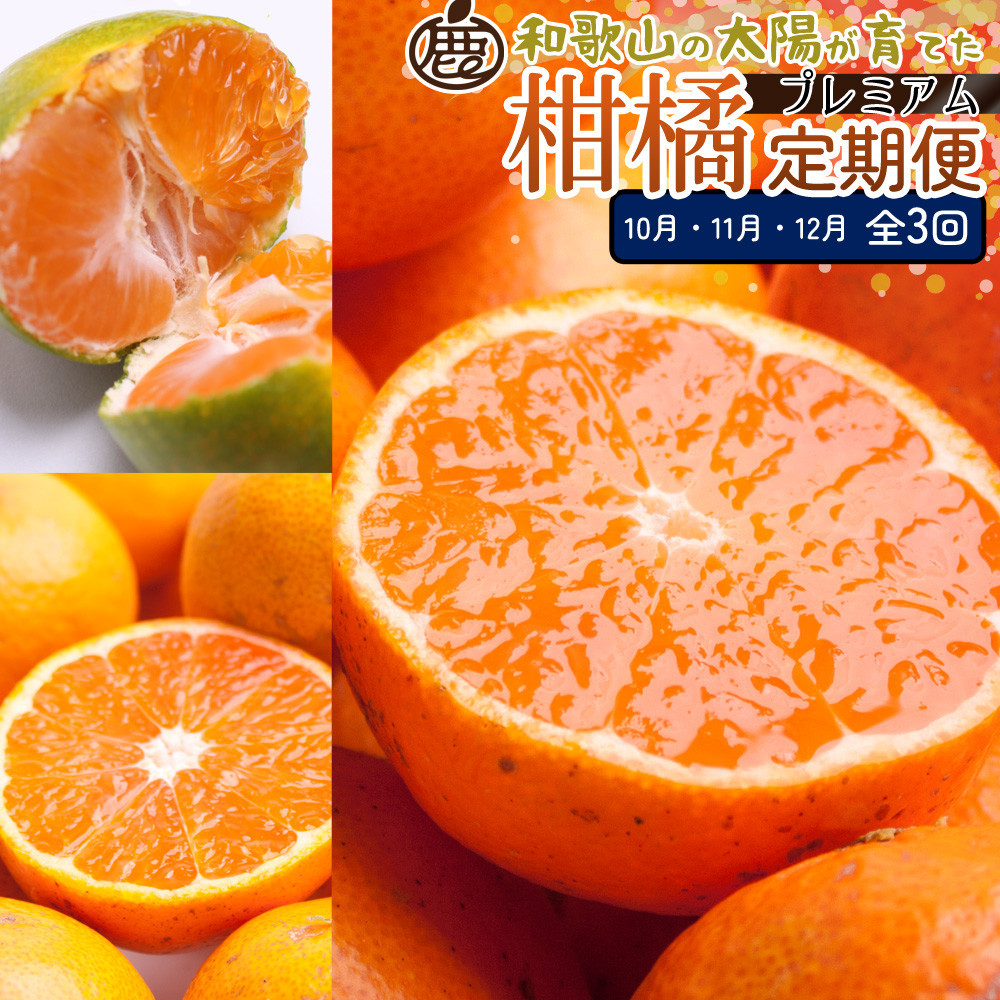 厳選&nbsp;柑橘定期便S（10～12月）全3回&nbsp;［IKE291］