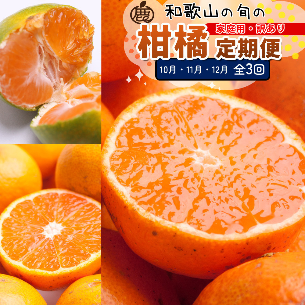 家庭用&nbsp;柑橘定期便S（10～12月）全3回&nbsp;［IKE306］