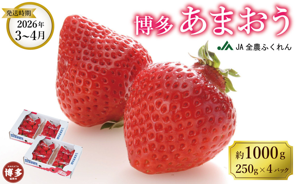 ＜2026年3月～4月発送＞博多あまおう約250ｇ×４