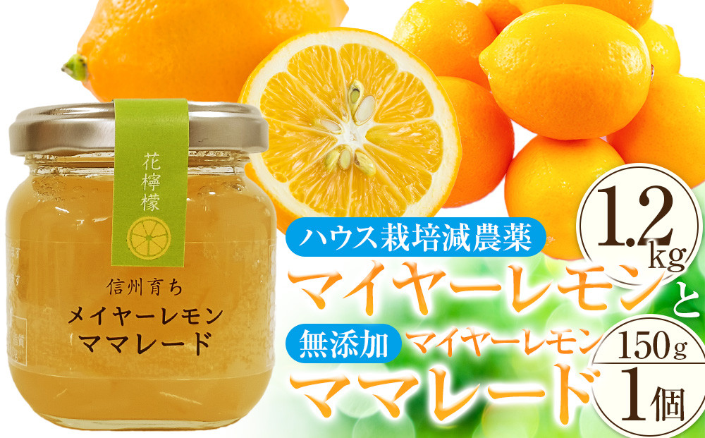 （先行予約）【&nbsp;南信州レモン&nbsp;】ハウス栽培減農薬&nbsp;「&nbsp;マイヤーレモン&nbsp;」（1.2kg）と無添加「マイヤーレモン&nbsp;ママレード」（150g×1個）宮田村&nbsp;南信州産&nbsp;ジャム&nbsp;&nbsp;マーマレード&nbsp;メイヤーレモン&nbsp;柑橘&nbsp;フルーツ&nbsp;ジャム&nbsp;国産&nbsp;レモンピール&nbsp;ギフト&nbsp;ヘルシー