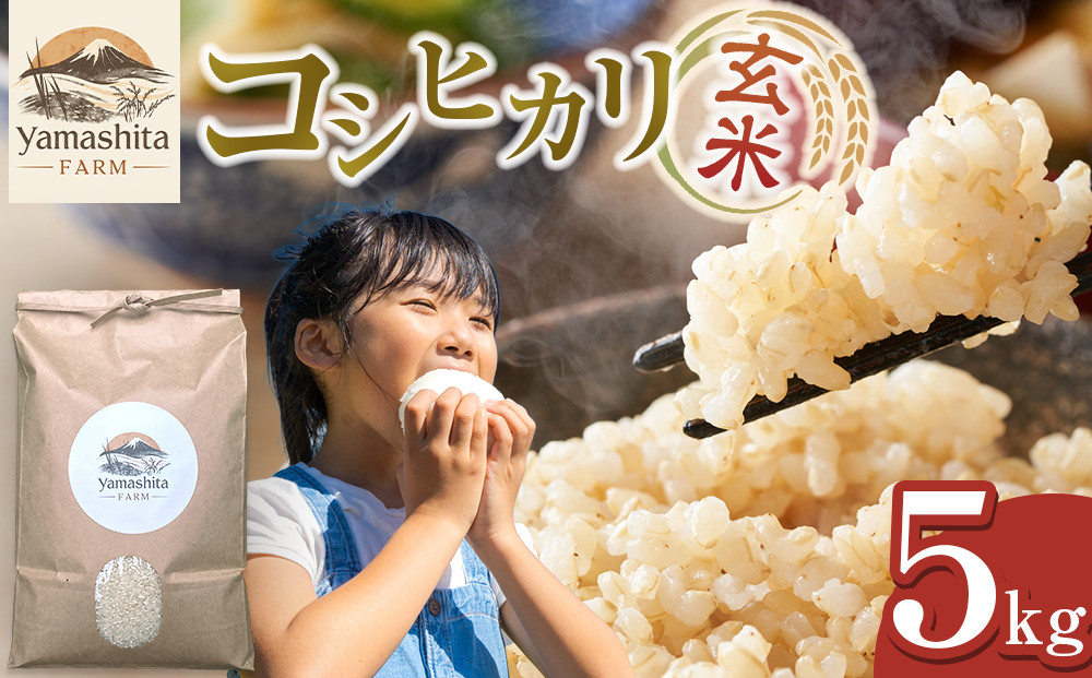 【玄米】令和7年産&nbsp;コシヒカリ5kg【こしひかり&nbsp;米&nbsp;お米&nbsp;こめ&nbsp;コメ&nbsp;玄米&nbsp;5kg&nbsp;5キロ&nbsp;ごはん&nbsp;ご飯&nbsp;お弁当&nbsp;弁当&nbsp;おにぎり&nbsp;おむすび&nbsp;甘み&nbsp;甘い&nbsp;もっちり&nbsp;もちもち&nbsp;2025年産&nbsp;令和7年産&nbsp;国産&nbsp;鳥取県産&nbsp;人気&nbsp;おすすめ&nbsp;鳥取県&nbsp;琴浦町&nbsp;送料無料】