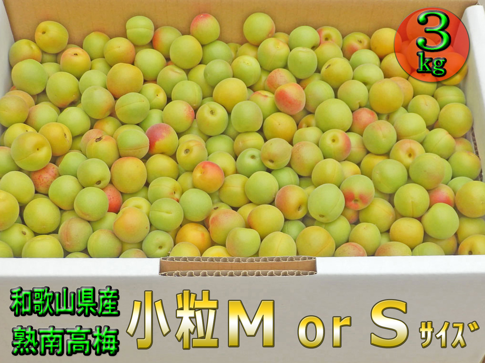 ［梅干・梅酒用］小粒（SまたはM－3Kg）熟南高梅＜2026年6月下旬～7月中旬発送予定＞フルーツ&nbsp;果物&nbsp;くだもの&nbsp;食品&nbsp;人気&nbsp;おすすめ&nbsp;送料無料［ART20］