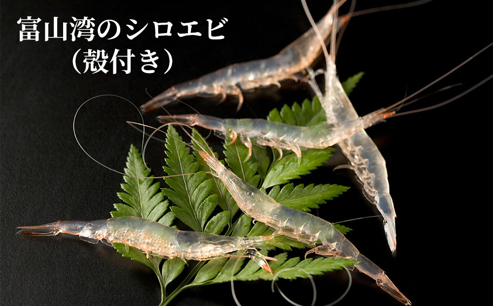 富山湾のシロエビ（殻付き）&nbsp;300g&nbsp;冷凍&nbsp;エビ&nbsp;えび&nbsp;海老&nbsp;白エビ&nbsp;お刺身&nbsp;冷凍食品&nbsp;ふるさと納税&nbsp;富山&nbsp;富山市&nbsp;漁業協同組合&nbsp;水産&nbsp;魚介類&nbsp;食品&nbsp;新鮮&nbsp;海鮮&nbsp;シーフード&nbsp;人気&nbsp;おすすめ&nbsp;送料無料