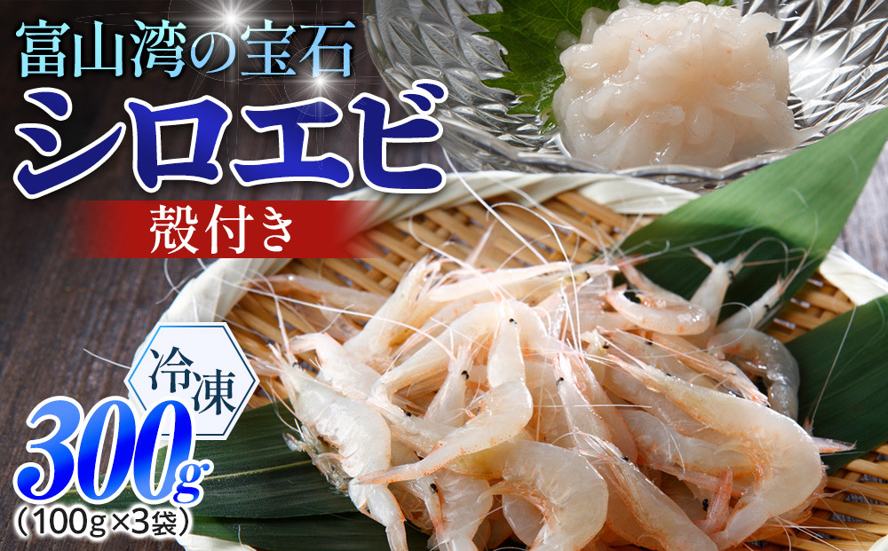 富山湾のシロエビ（殻付き）&nbsp;300g&nbsp;冷凍&nbsp;エビ&nbsp;えび&nbsp;海老&nbsp;白エビ&nbsp;お刺身&nbsp;冷凍食品&nbsp;ふるさと納税&nbsp;富山&nbsp;富山市&nbsp;漁業協同組合&nbsp;水産&nbsp;魚介類&nbsp;食品&nbsp;新鮮&nbsp;海鮮&nbsp;シーフード&nbsp;人気&nbsp;おすすめ&nbsp;送料無料