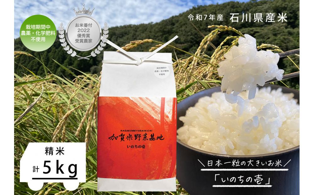 《令和7年産&nbsp;新米》【お米番付優秀賞受賞農家】日本一粒の大きいお米『いのちの壱』白米5kg