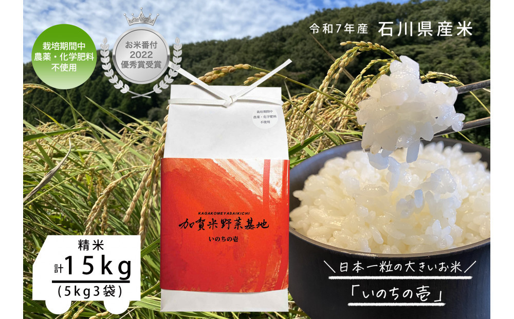 《令和7年産&nbsp;新米》【お米番付優秀賞受賞農家】日本一粒の大きいお米『いのちの壱』白米15kg