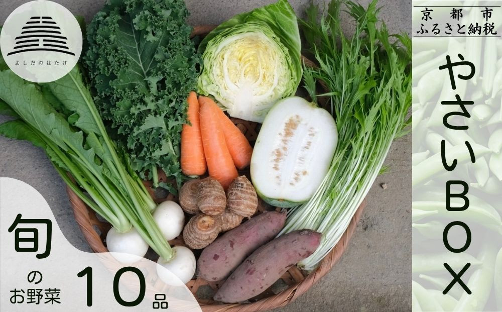 【よしだのはたけ】旬の野菜10品&nbsp;やさいBOX｜京都&nbsp;京北&nbsp;農家直送&nbsp;野菜&nbsp;人気セット&nbsp;[&nbsp;旬のお野菜&nbsp;新鮮&nbsp;おまかせセット&nbsp;美味しい&nbsp;産地直送&nbsp;野菜詰め合わせ&nbsp;野菜セット&nbsp;人気&nbsp;おすすめ&nbsp;ギフト&nbsp;プレゼント&nbsp;お取り寄せ&nbsp;通販&nbsp;送料無料&nbsp;ふるさと納税&nbsp;]