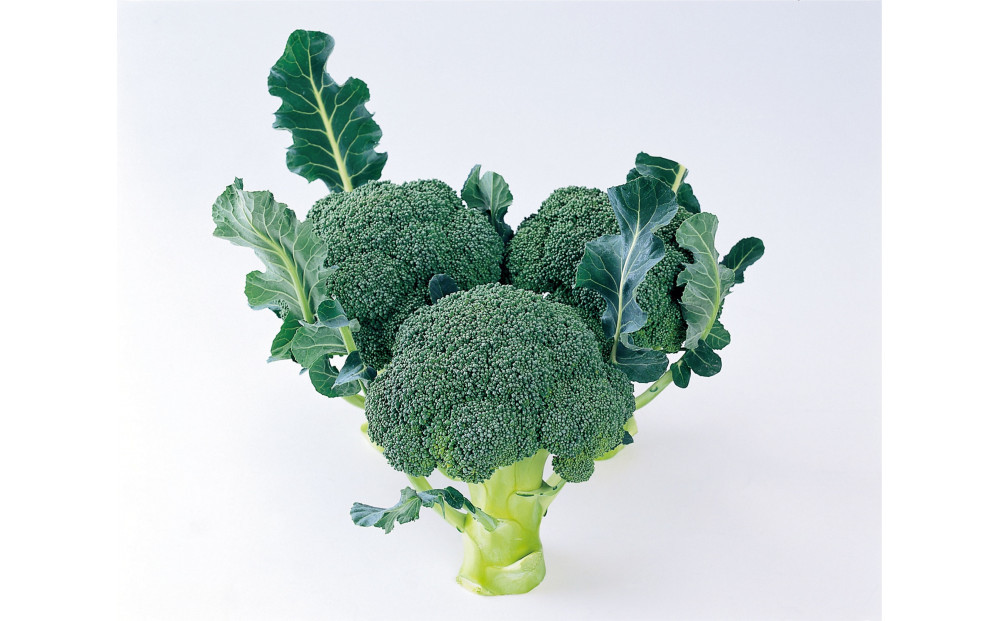 訳ありブロッコリー　約4.5kg（サイズおまかせ）