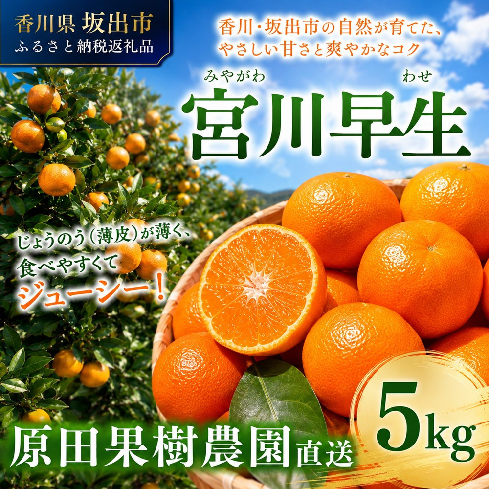 原田果樹農園直送！&nbsp;宮川早生みかん&nbsp;約5kg（S~Mサイズ混合）数量限定