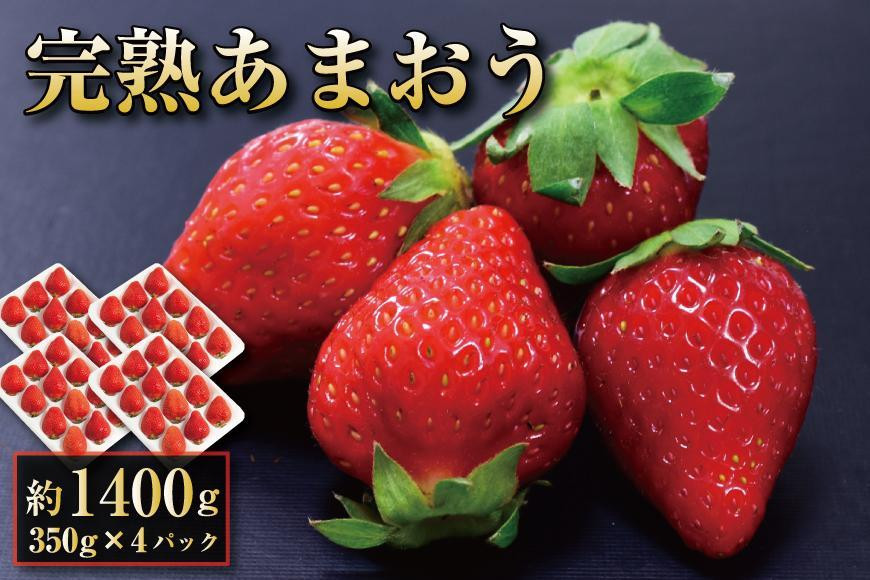 【2026年1月～2月出荷予定】完熟&nbsp;あまおう&nbsp;イチゴ&nbsp;350g×4パック(約1400g)＜配送不可：北海道、沖縄県、離島＞