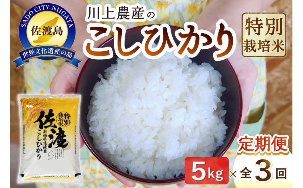 【レビューキャンペーン実施中！】令和7年産&nbsp;佐渡&nbsp;川上農産のコシヒカリ&nbsp;定期便（5kg×全3回）