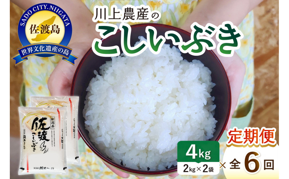 【レビューキャンペーン実施中！】令和7年産&nbsp;佐渡&nbsp;川上農産のこしいぶき&nbsp;定期便（2kg×2×全6回）