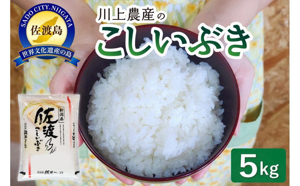 【レビューキャンペーン実施中！】令和7年産&nbsp;佐渡&nbsp;川上農産のこしいぶき（5kg）