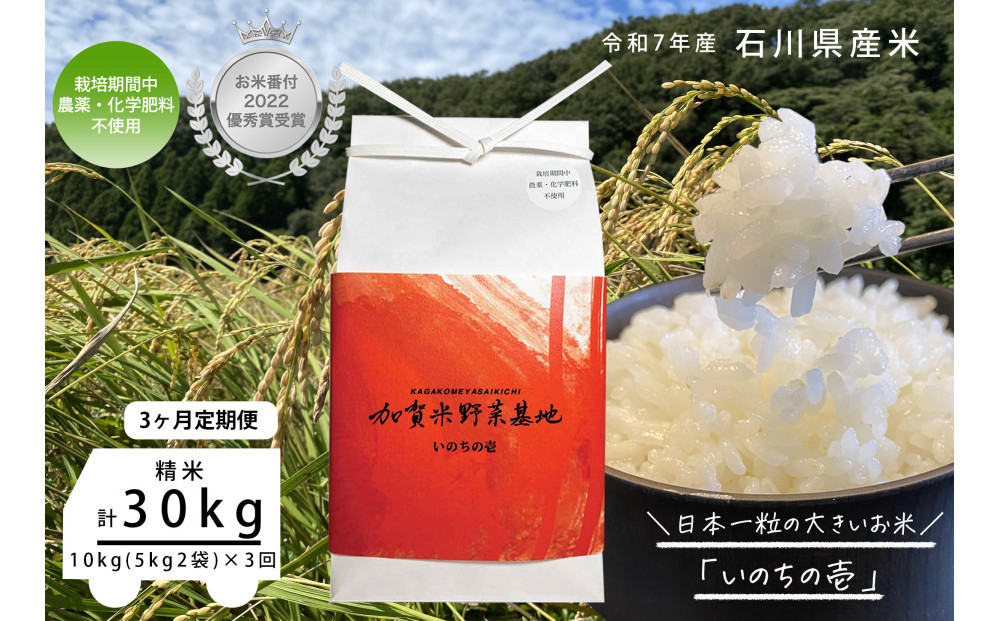 《令和7年産&nbsp;新米》【3ヶ月定期便】【お米番付優秀賞受賞農家】日本一粒の大きいお米『いのちの壱』白米10kg×3回