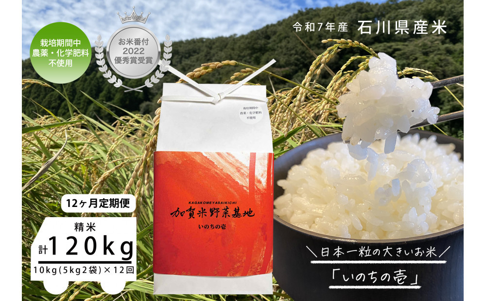 《令和7年産&nbsp;新米》【12ヶ月定期便】【お米番付優秀賞受賞農家】日本一粒の大きいお米『いのちの壱』白米10kg×12回
