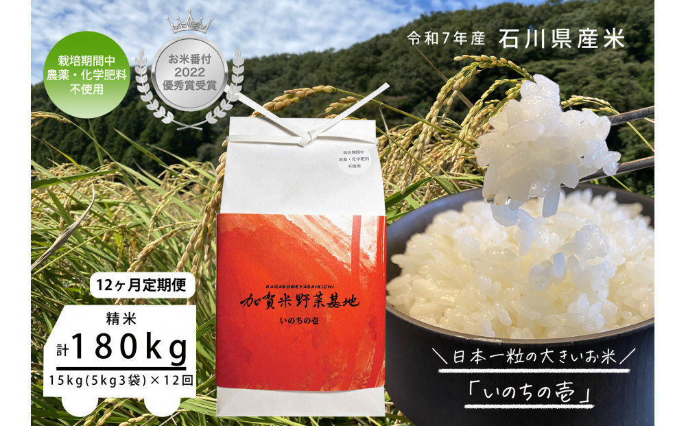《令和7年産&nbsp;新米》【12ヶ月定期便】【お米番付優秀賞受賞農家】日本一粒の大きいお米『いのちの壱』白米15kg×12回