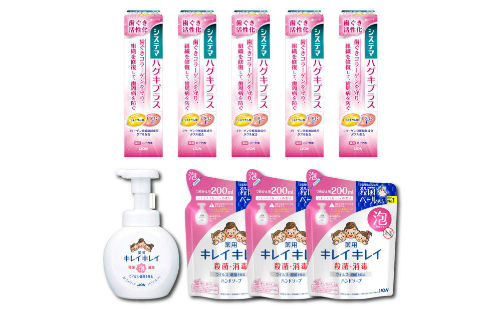 オリジナルDセット「システマハグキプラスハミガキ90g×5本＆キレイキレイ泡ハンドソープ本体1本（250ml）＆詰替え（200ml×3パック）」【日用品&nbsp;人気&nbsp;おすすめ&nbsp;歯&nbsp;デンタルケア&nbsp;キレイキレイ&nbsp;石鹸&nbsp;薬用&nbsp;システマ&nbsp;ハグキ&nbsp;プラス&nbsp;オリジナル&nbsp;歯磨き粉&nbsp;ハミガキ&nbsp;はみがき】