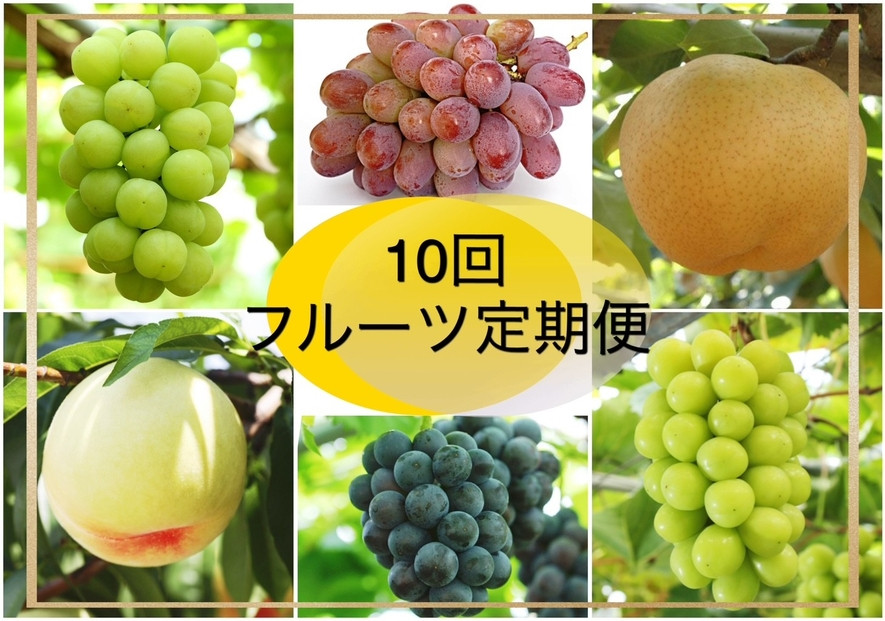 【2026年発送】岡山県産　フルーツ定期便10回コース