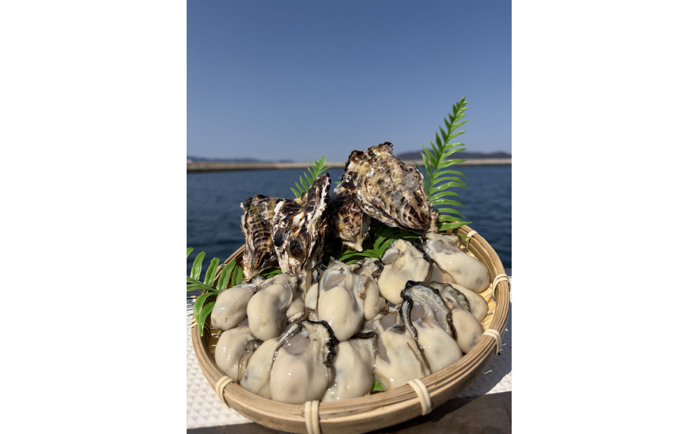 加熱用&nbsp;殻付き牡蛎1kg