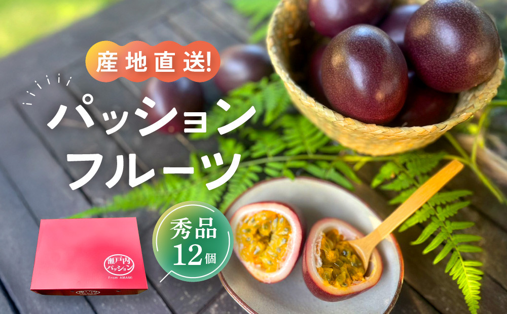 【先行予約】産地直送！パッションフルーツ秀品12個入り|先行予約&nbsp;2026年&nbsp;果物&nbsp;フルーツ&nbsp;くだもの&nbsp;パッションフルーツ&nbsp;南国&nbsp;産地直送&nbsp;甘み&nbsp;奄美&nbsp;鹿児島&nbsp;瀬戸内町