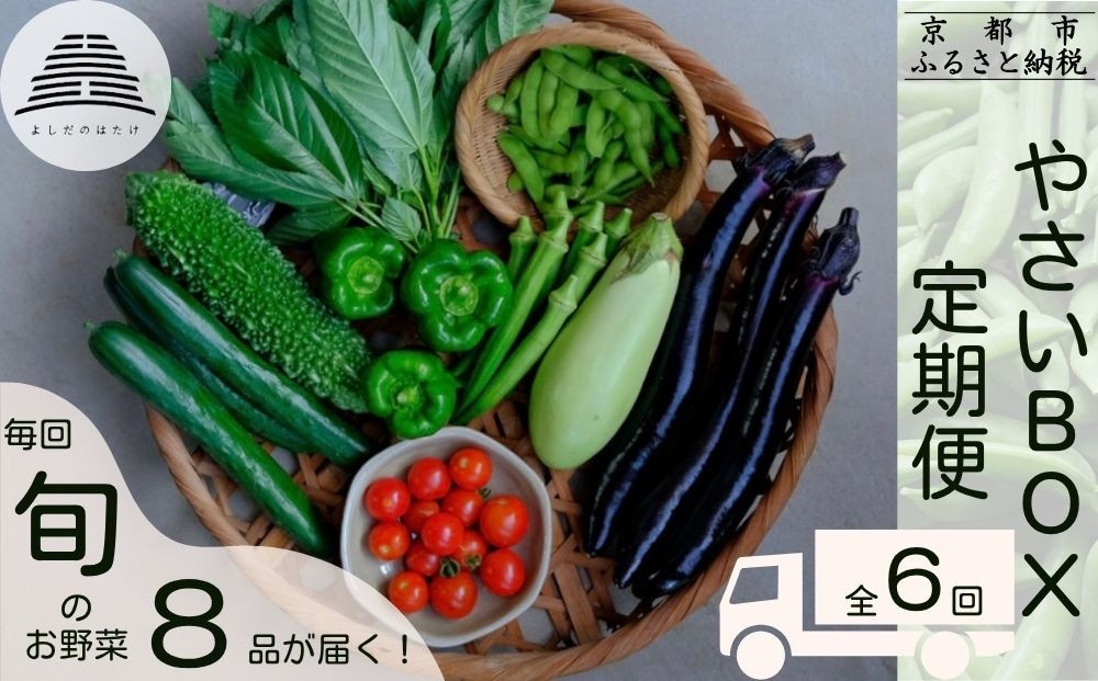 ＜定期便6回＞【よしだのはたけ】旬の野菜8品&nbsp;やさいBOX｜京都&nbsp;京北&nbsp;農家直送&nbsp;野菜&nbsp;人気セット&nbsp;[&nbsp;旬のお野菜&nbsp;新鮮&nbsp;おまかせセット&nbsp;美味しい&nbsp;産地直送&nbsp;野菜詰め合わせ&nbsp;野菜セット&nbsp;野菜定期便&nbsp;人気&nbsp;おすすめ&nbsp;ギフト&nbsp;プレゼント&nbsp;お取り寄せ&nbsp;通販&nbsp;送料無料&nbsp;ふるさと納税&nbsp;]