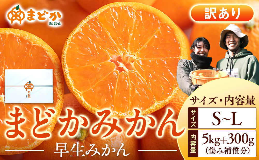［先行予約］［訳あり］秋採れみかん（早生みかん）S〜Lサイズ混合&nbsp;5kg＋300g（傷み補償分）［2026年11月上旬より発送］