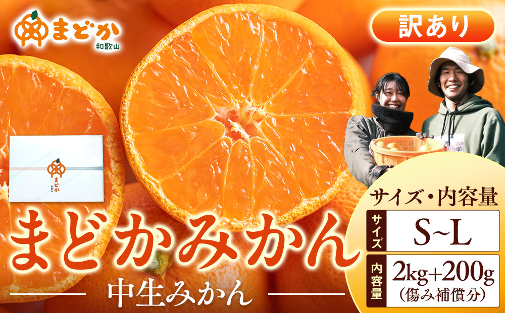 ［先行予約］［訳あり］冬採れみかん（中生みかん）S〜Lサイズ混合&nbsp;2kg＋200g（傷み補償分）［2026年11月下旬より発送］