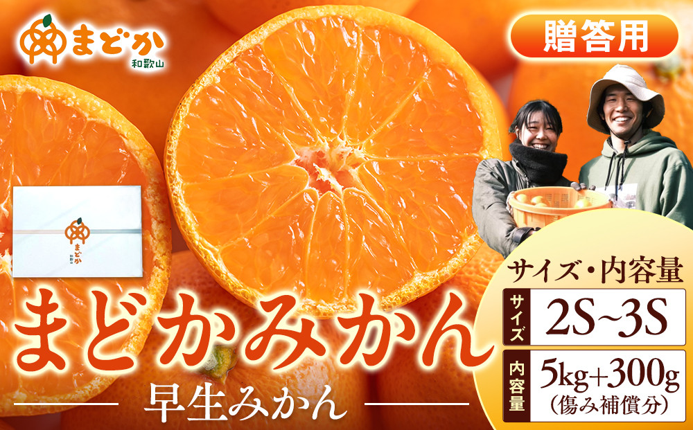 ［先行予約］［贈答用］秋採れみかん（早生みかん）2S〜3Sサイズ混合&nbsp;5kg＋300g（傷み補償分）［2026年11月上旬より発送］