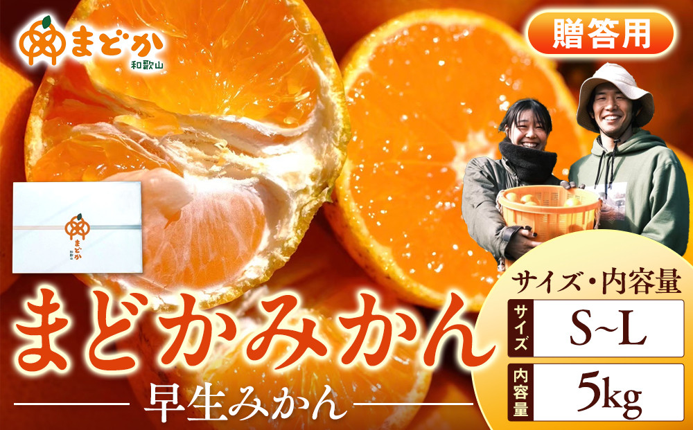 ［先行予約］［贈答用］秋採れみかん（早生みかん）S〜Lサイズ混合&nbsp;5kg＋300g（傷み補償分）［2025年11月上旬より発送］