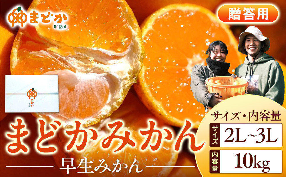 ［先行予約］［贈答用］秋採れみかん（早生みかん）2L〜3Lサイズ混合&nbsp;10kg＋500g（傷み補償分）［2025年11月上旬より発送］