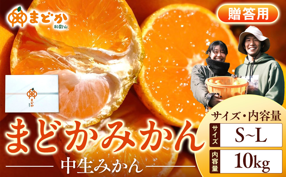［先行予約］［贈答用］冬採れみかん（中生みかん）S〜Lサイズ混合&nbsp;10kg＋500g（傷み補償分）［2025年11月下旬より発送］
