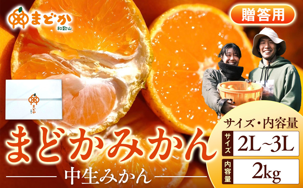 ［先行予約］［贈答用］冬採れみかん（中生みかん）2L〜3Lサイズ混合&nbsp;2kg＋200g（傷み補償分）［2025年11月下旬より発送］