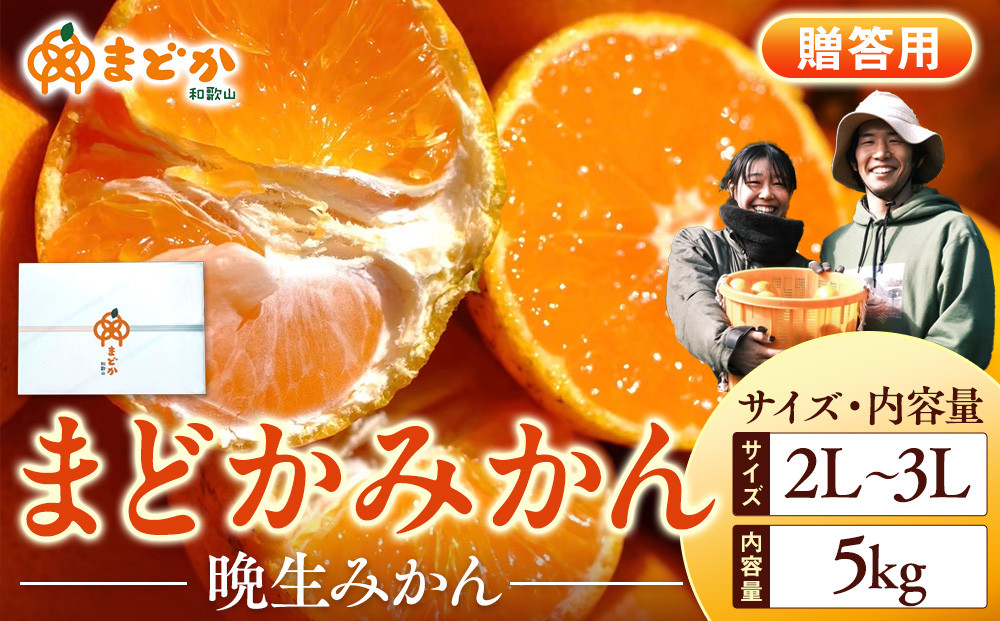 ［先行予約］［贈答用］蔵出しみかん（晩生みかん）2L〜3Lサイズ混合&nbsp;5kg＋300g（傷み補償分）［2026年1月上旬より発送］