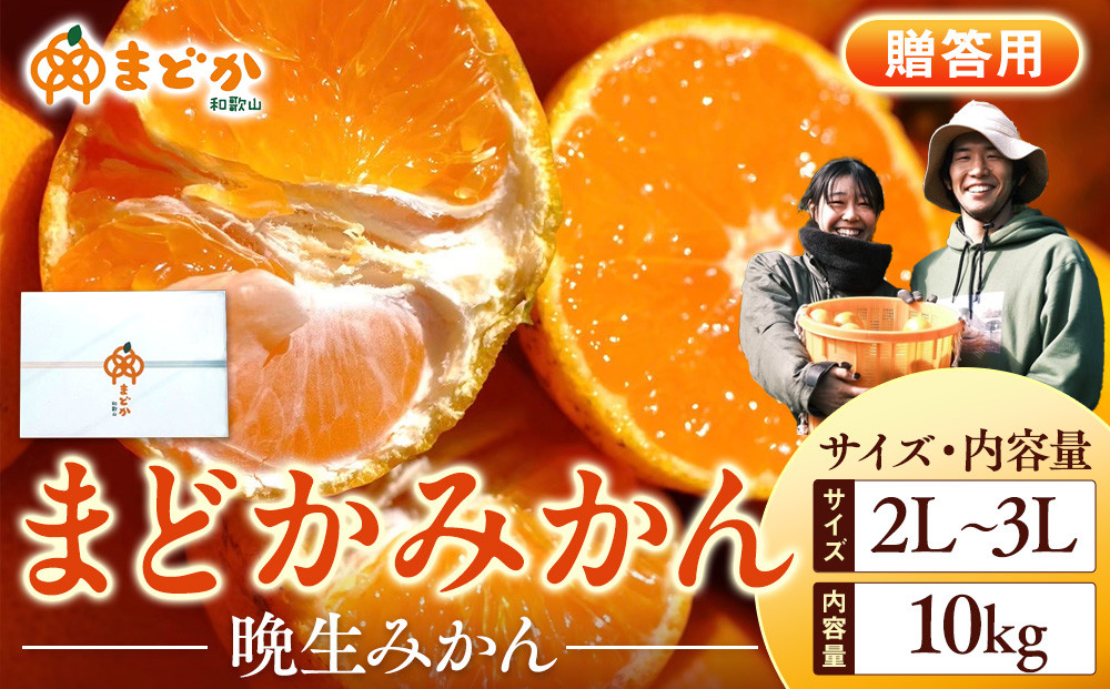 ［先行予約］［贈答用］蔵出しみかん（晩生みかん）2L〜3Lサイズ混合&nbsp;10kg＋500g（傷み補償分）［2026年1月上旬より発送］