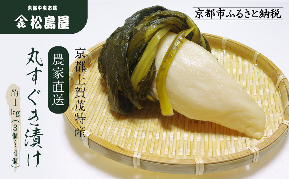 【期間限定～1/15】【松島屋】京都上賀茂特産 農家直送丸すぐき漬け1kg｜京都 老舗 すぐき漬け 大容量 人気 おすすめ［ かぶら 漬物 老舗 農家直送 野菜 京野菜 セット お土産 贈答 人気 おすすめ お取り寄せ 通販 送料無料 ふるさと納税 ］