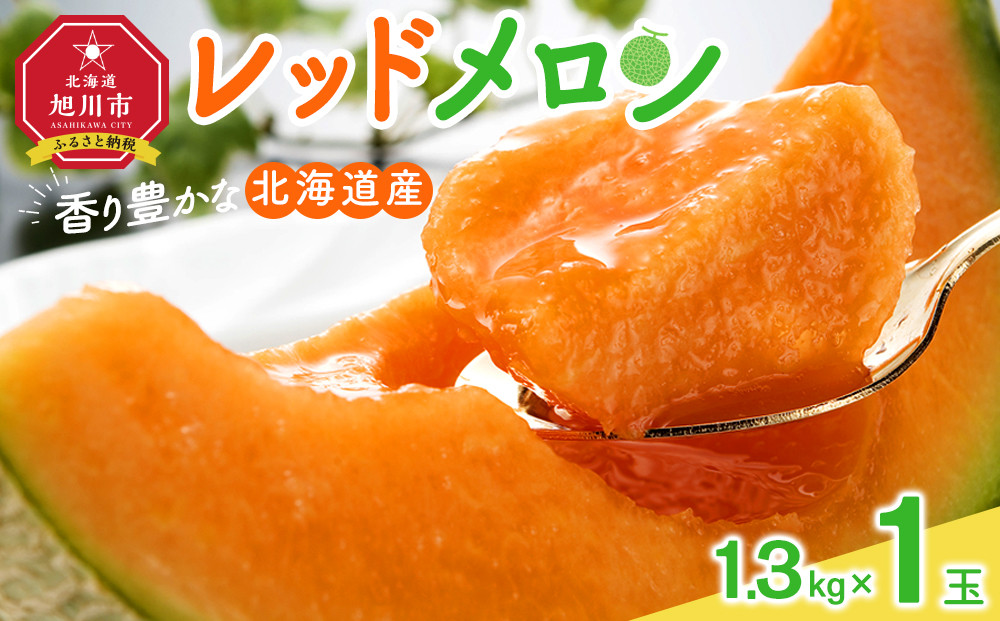 【26年発送先行予約】香り豊かな&nbsp;北海道レッドメロン&nbsp;1.3kg×1玉(2026年7月下旬から発送開始予定)&nbsp;【&nbsp;果物&nbsp;くだもの&nbsp;フルーツ&nbsp;メロン&nbsp;赤肉&nbsp;赤肉メロン&nbsp;旬&nbsp;お取り寄せ&nbsp;甘い&nbsp;北海道産&nbsp;旭川市&nbsp;北海道&nbsp;】_05408