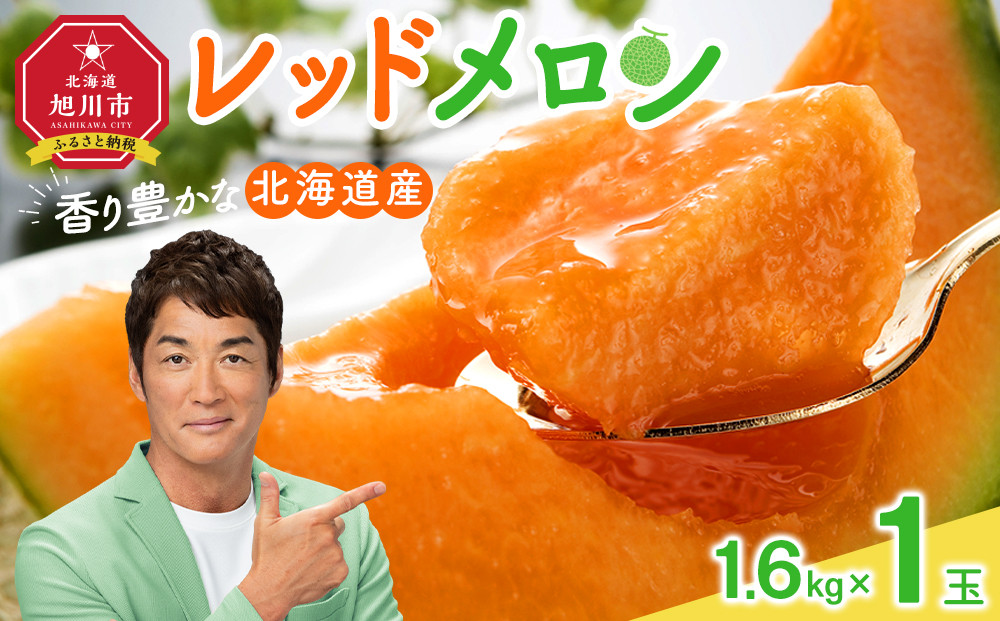 【26年発送先行予約】香り豊かな 北海道レッドメロン 1.6kg×1玉(2026年7月下旬から発送開始予定) 【 果物 くだもの フルーツ メロン 赤肉 赤肉メロン 旬 お取り寄せ 甘い 北海道産 旭川市 北海道 】_05410